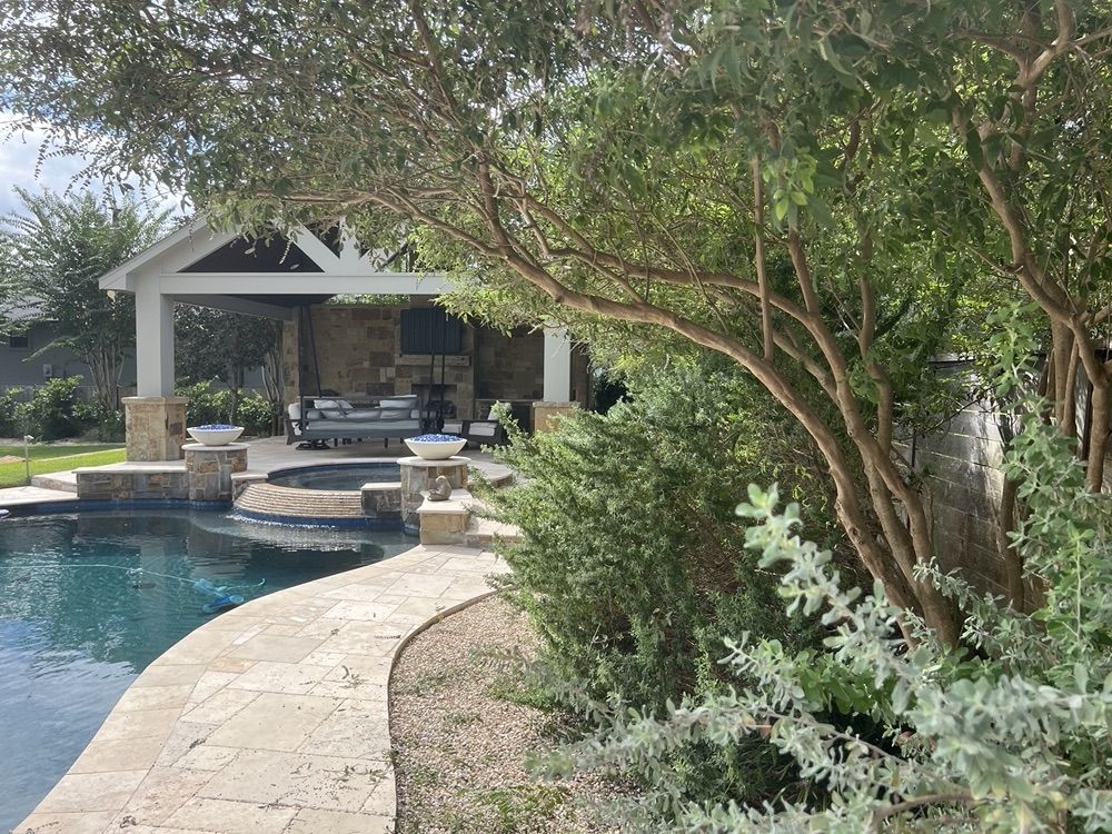 Vitex canopy raised off the pool deck after pruning in Weston Lakes