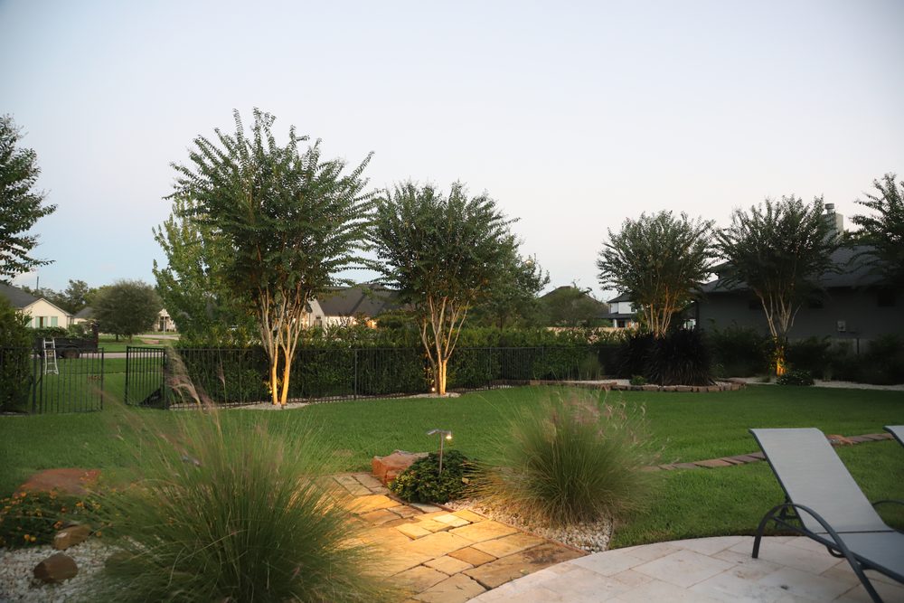 Weston Lakes backyard with crape myrtles along the fence
